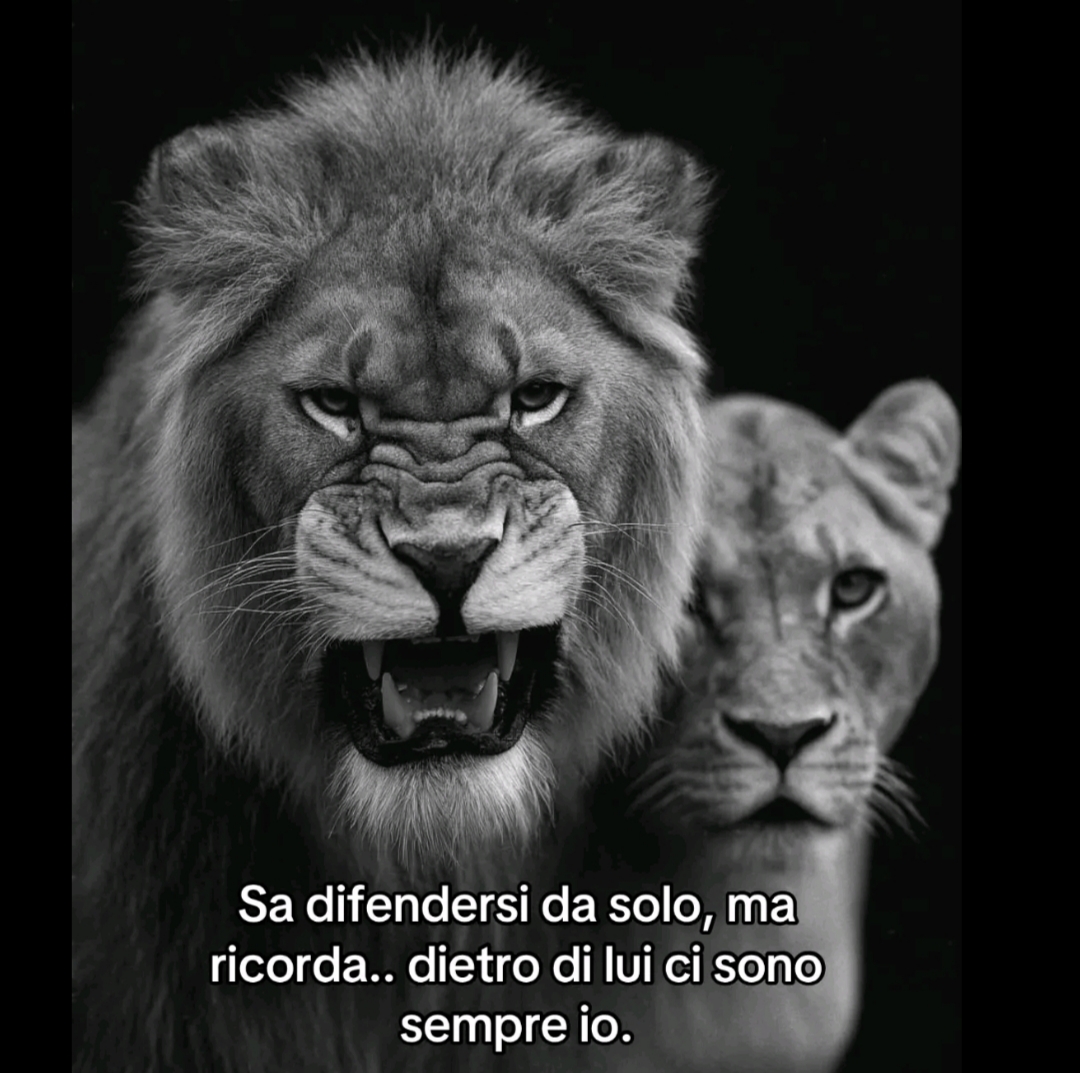 @Noemi