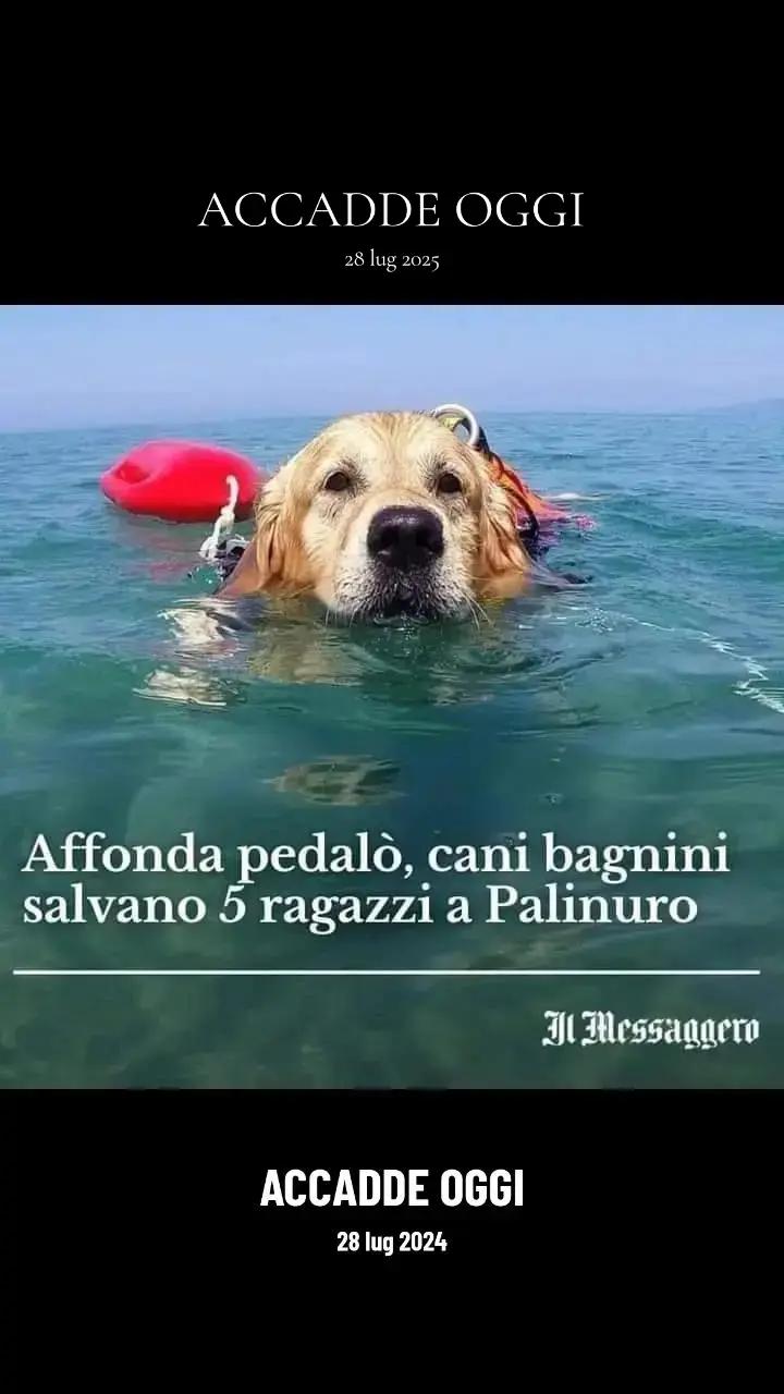 @Napoli nel cuore🩵