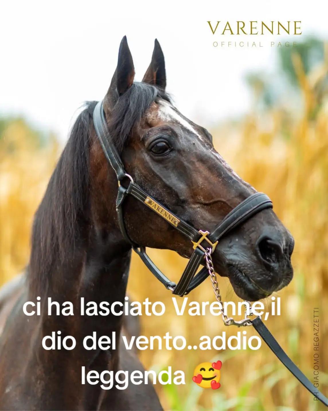 @il pazzofulminato