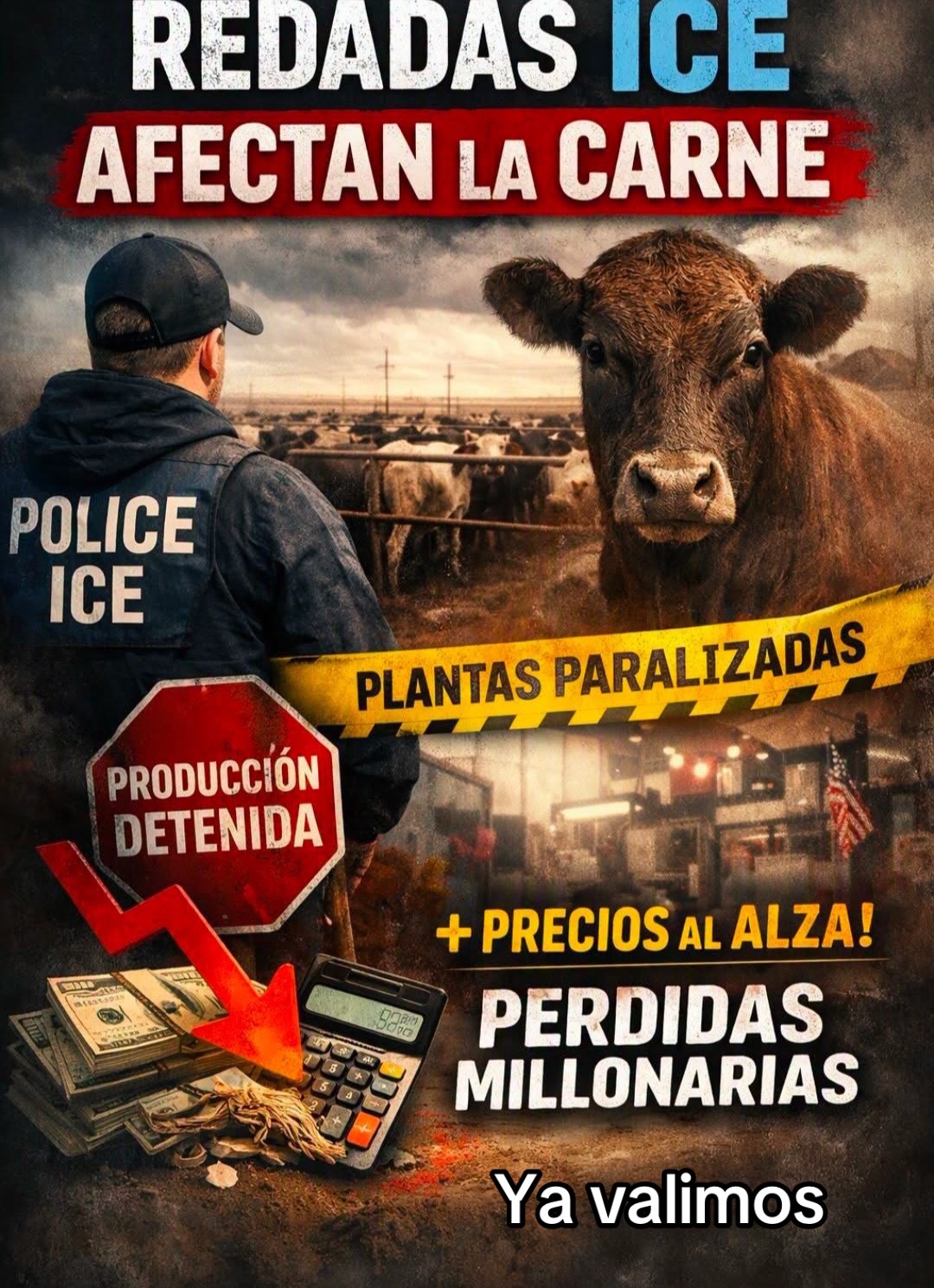 @Reporte-ando