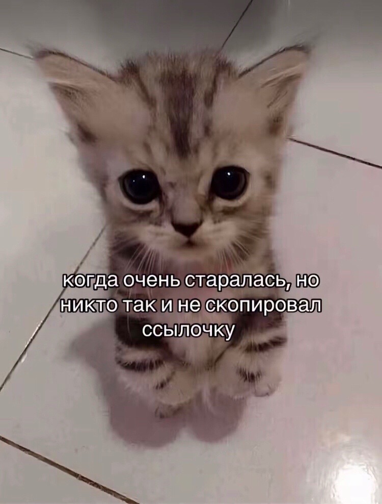 @тг: Чудесности свити ✨