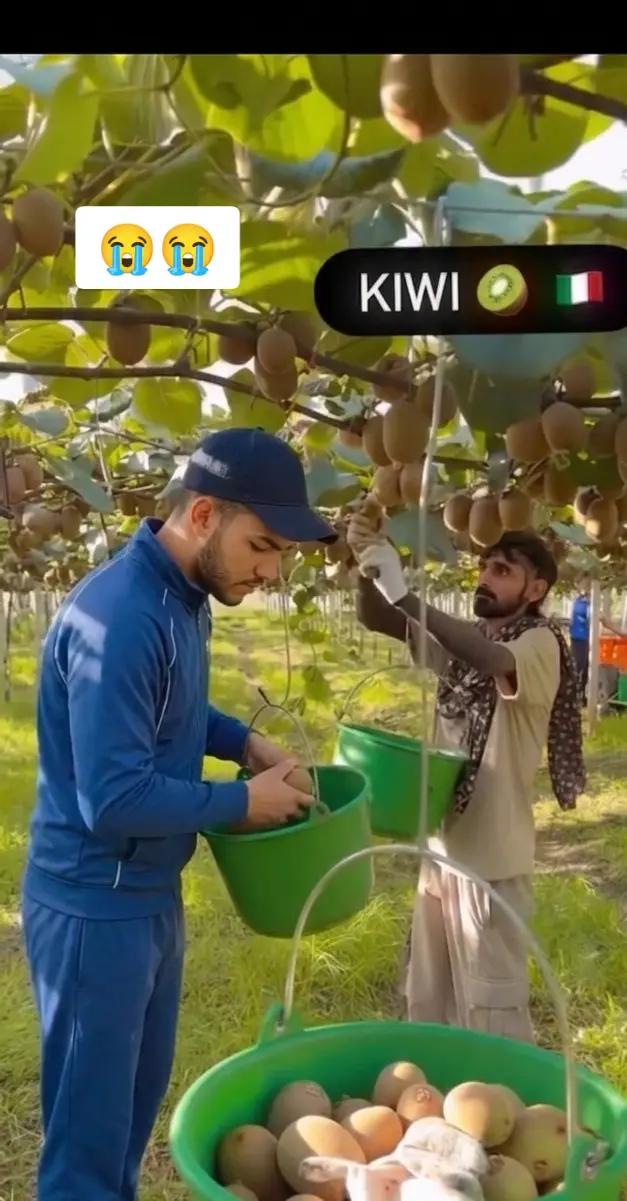 @🇵🇰❌ laddi❌🇮🇹