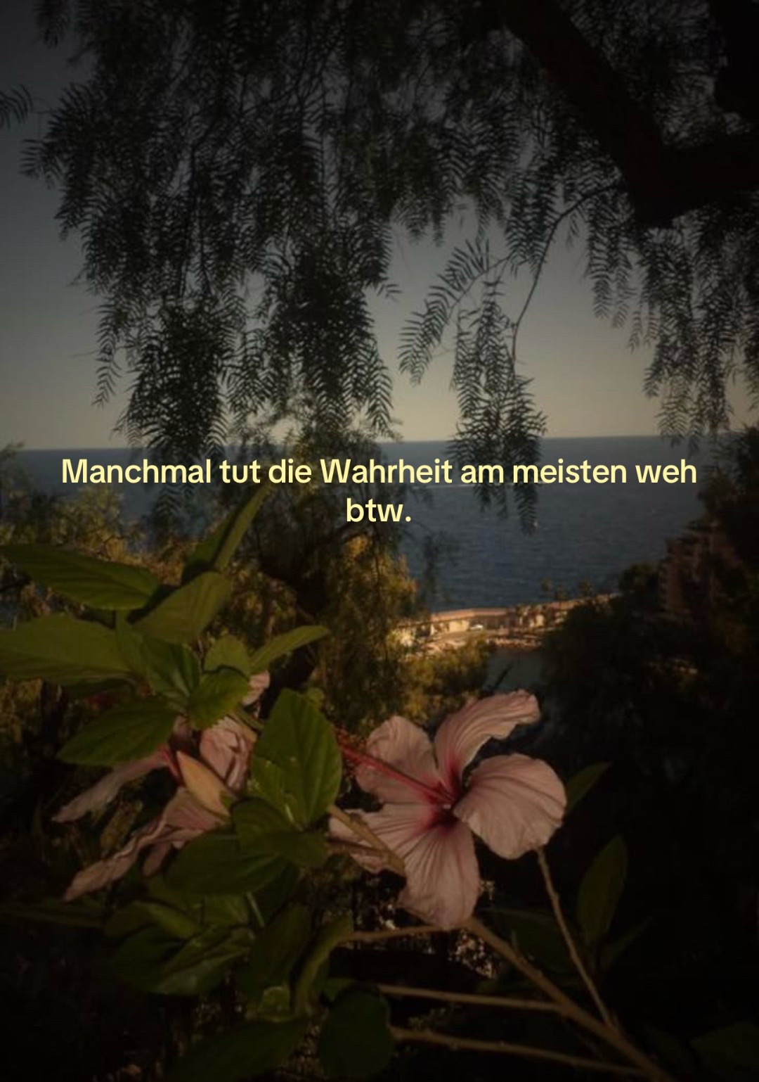@mara347062