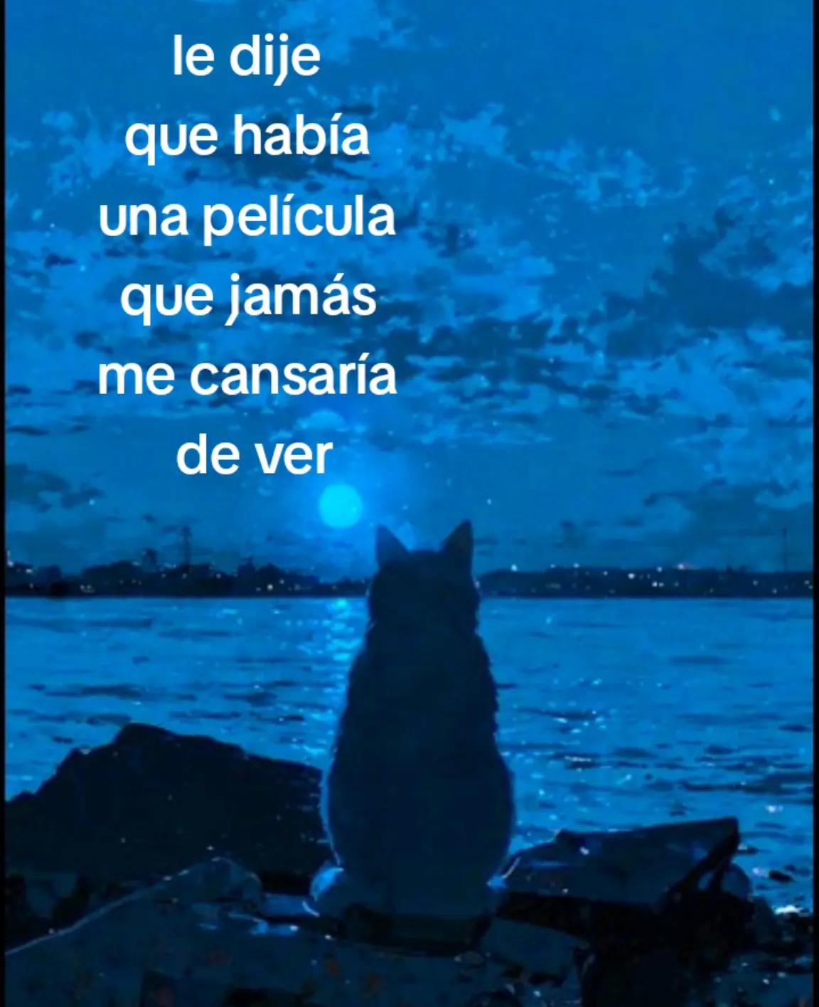 @«.*★Issabella★*.»