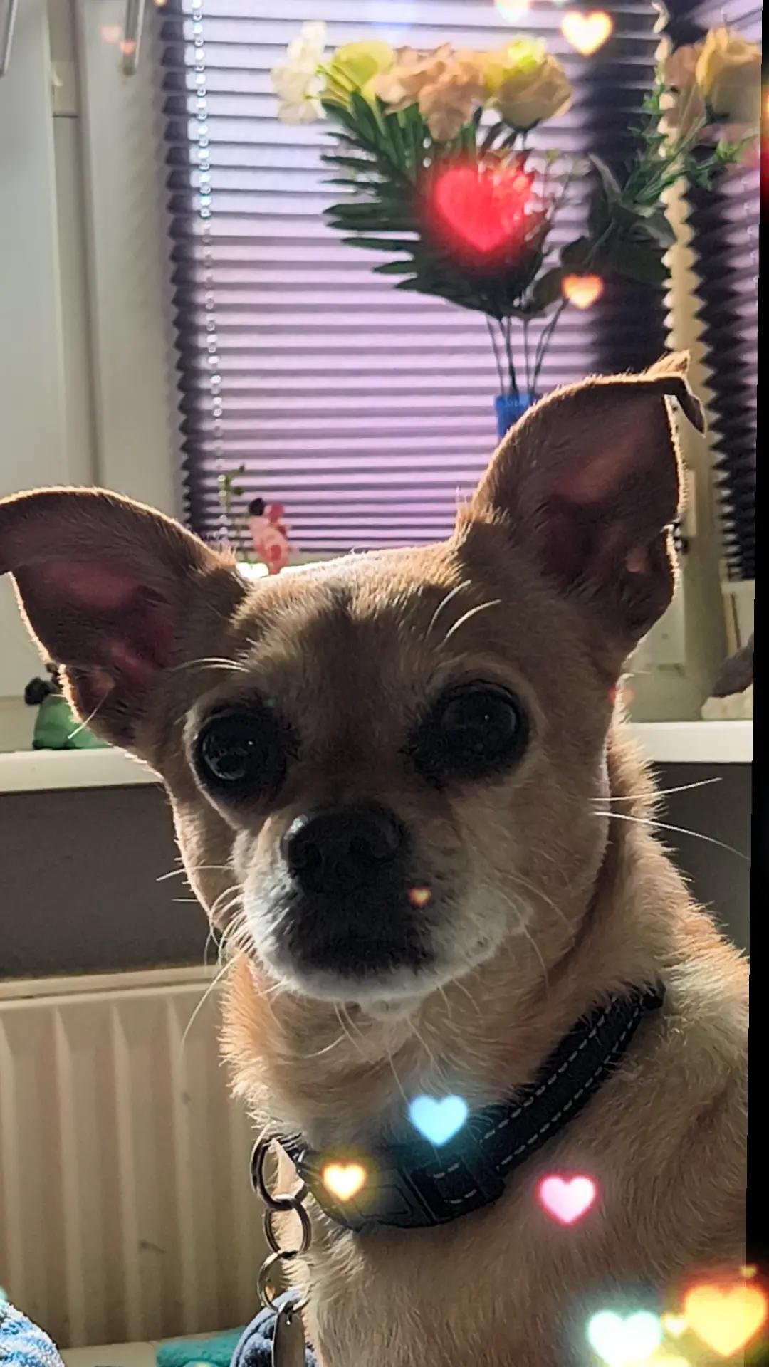 @❤️Kathi❤️Milow🐕❤️