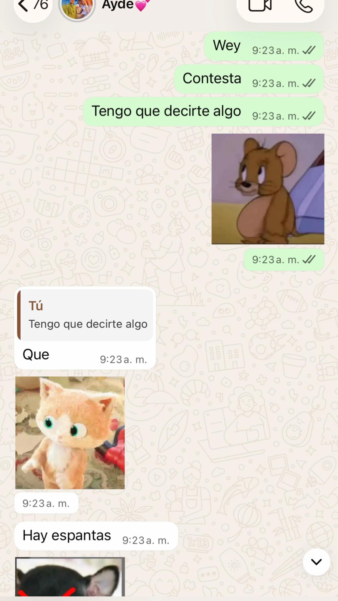 @mayraperez886