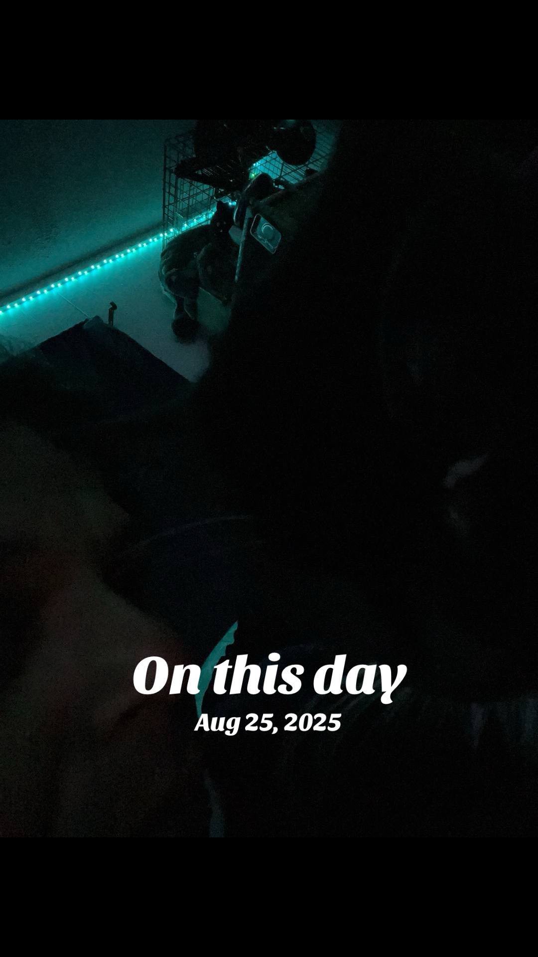 @Giz🚫🦊