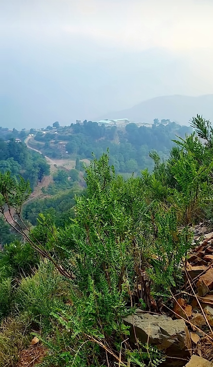 @𝐌𝐀𝐍𝐒𝐎𝐎𝐑🌲🦅𝐀𝐫𝐦𝐚𝐧𝐢