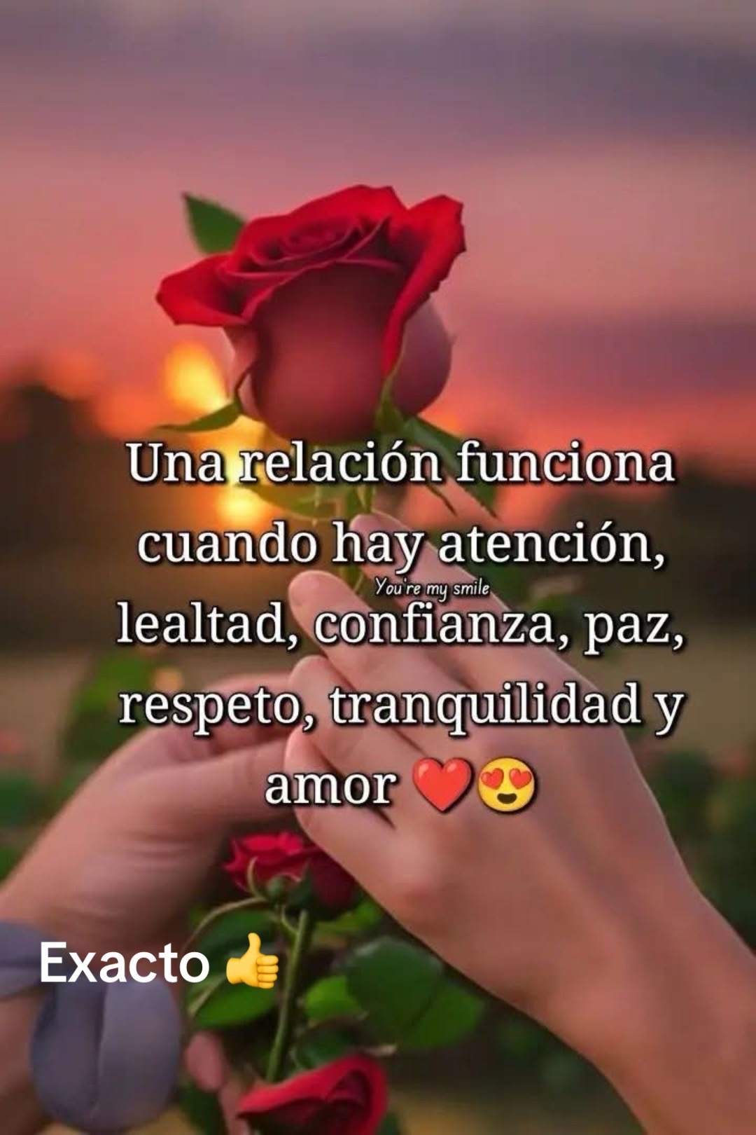 @rosasandoval1010Rosy Sandoval