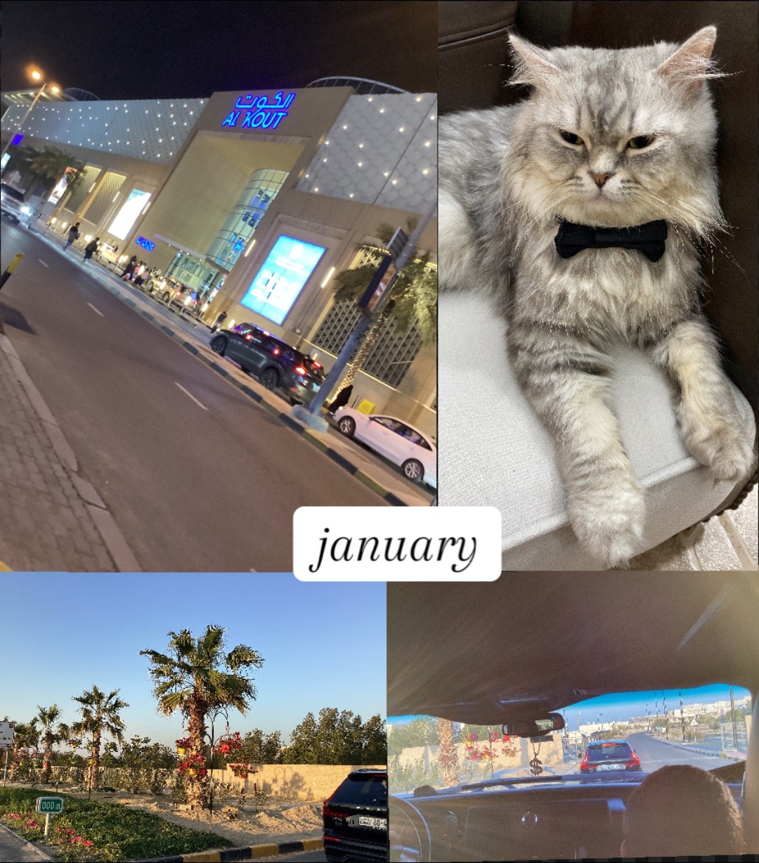 @𝓜.𝓣💓 ۶ৎ 🇱🇧