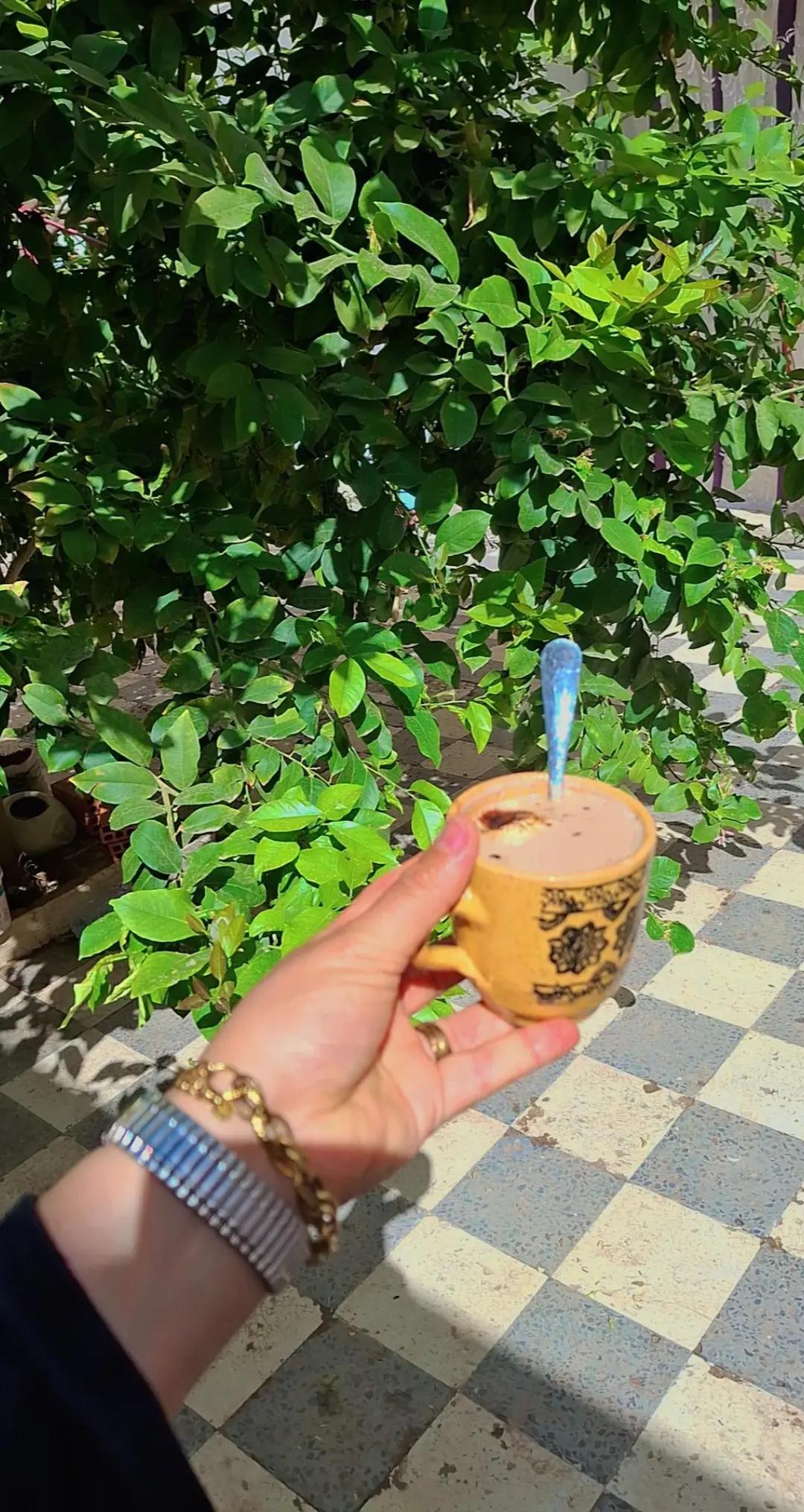 @Mouna Boussouibaa
