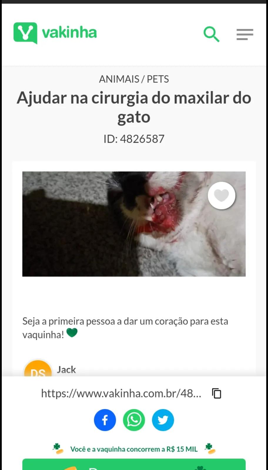 @Jacquellyne Carvalho
