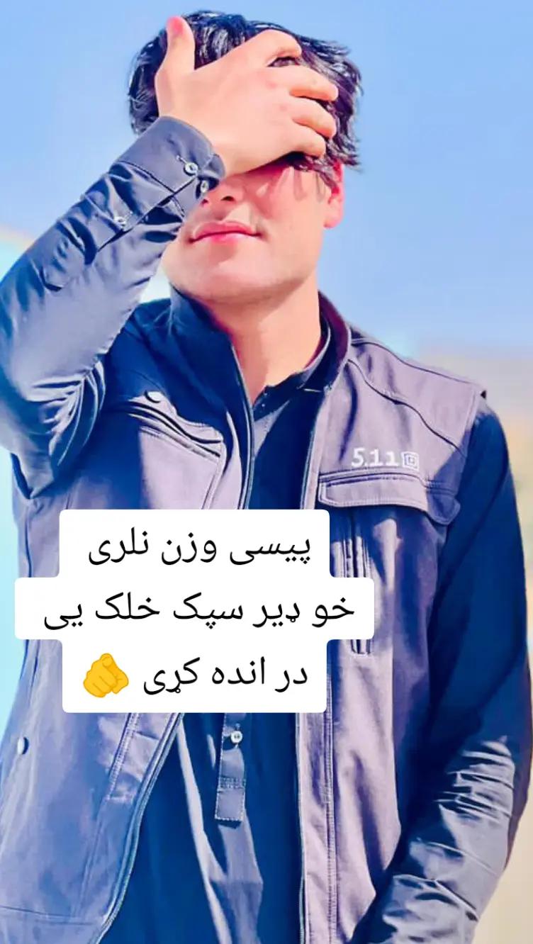 @shahinbaghalani8