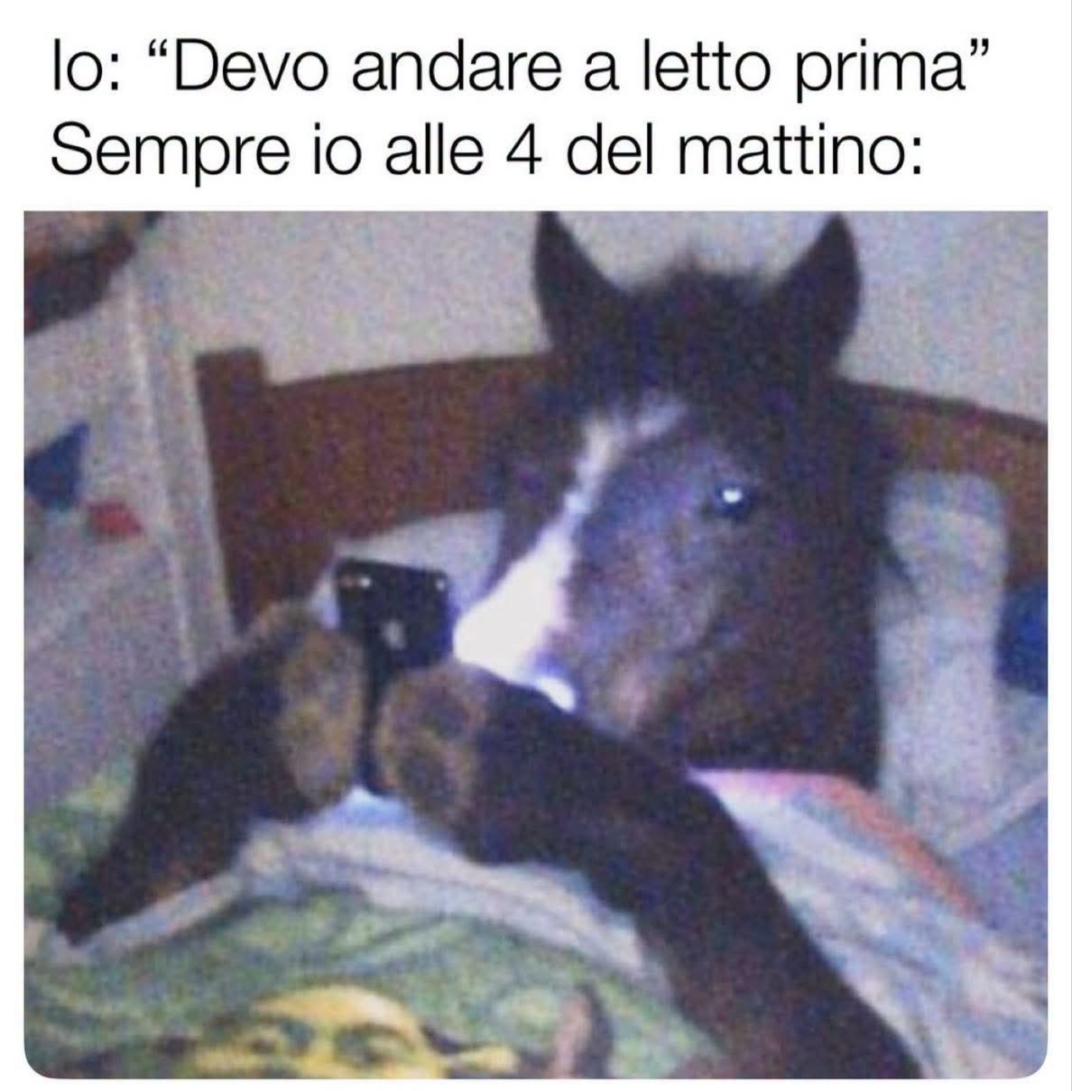 @Mariana🖤