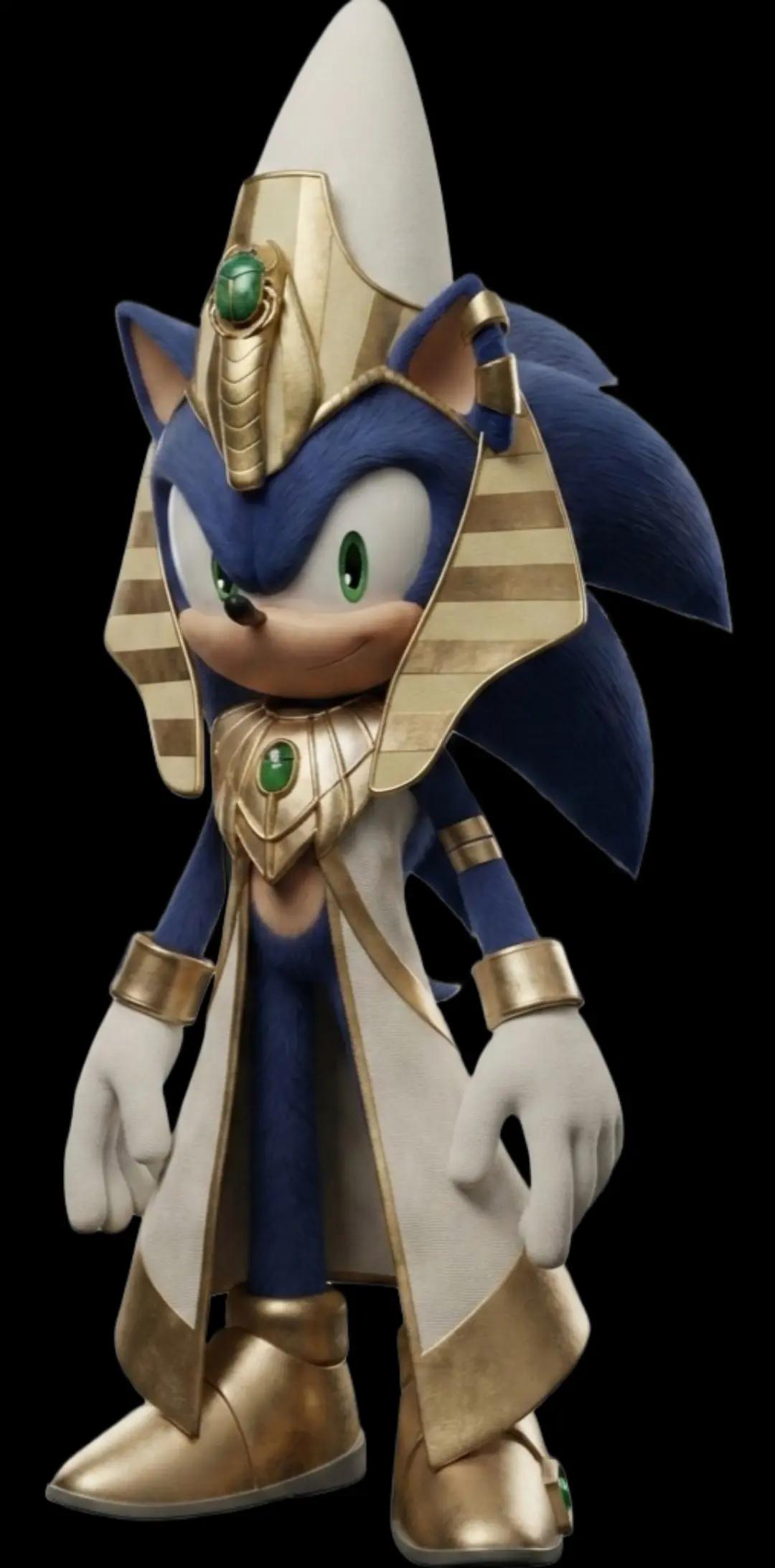 @King Rebel Sonic Hedgehog