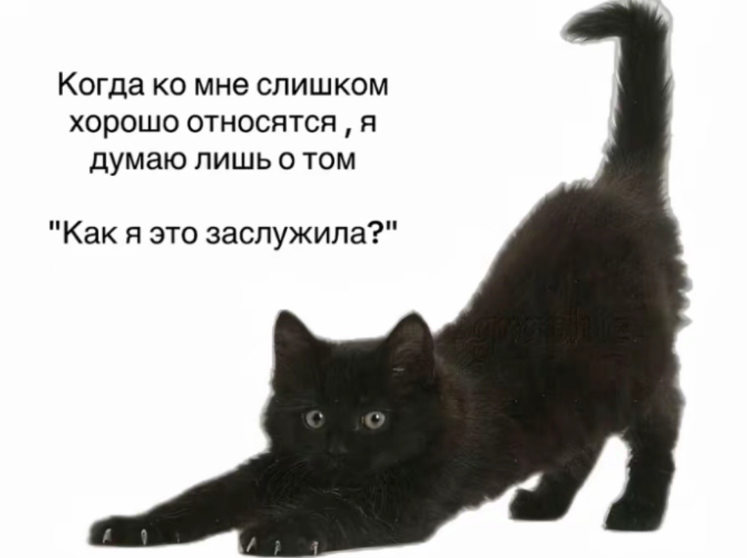 @repostikk__
