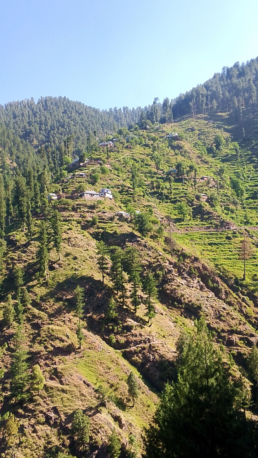 @M,Arshad kashmiri