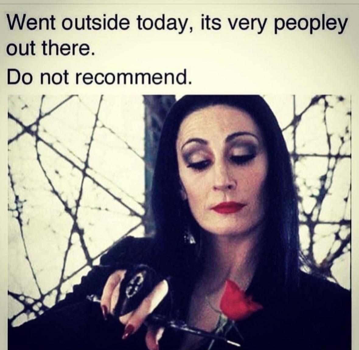 @venusgothicrealm1