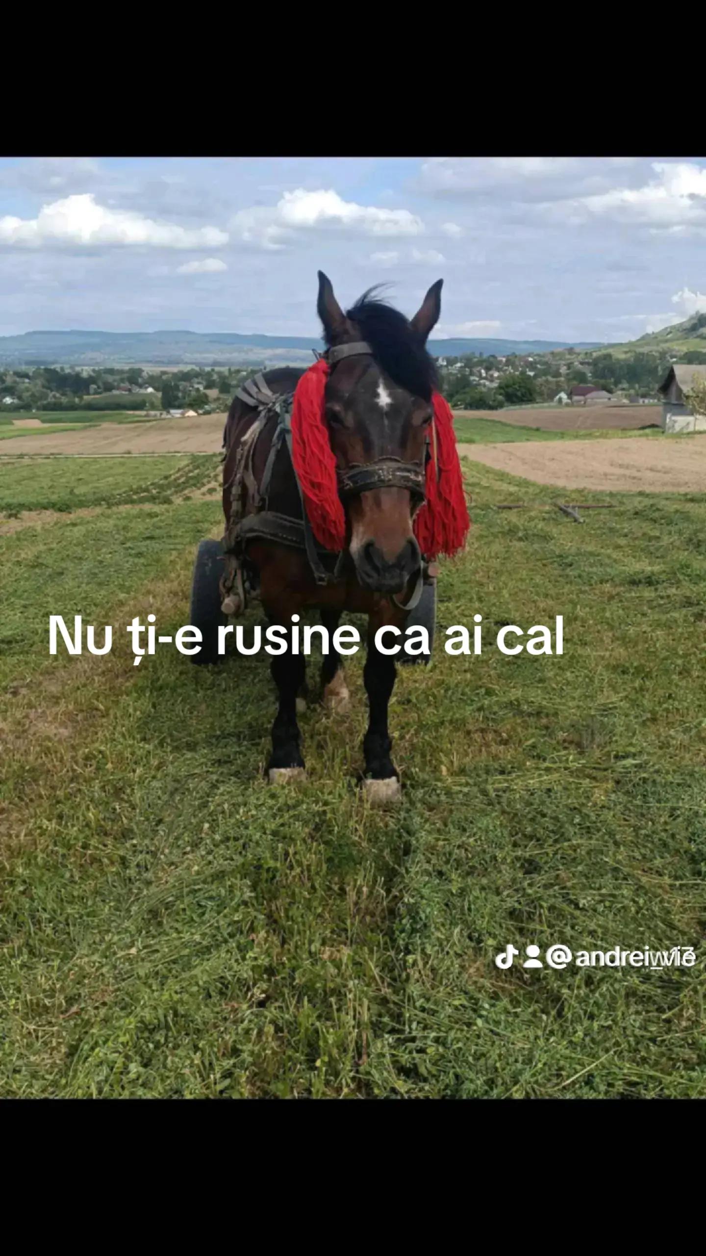 @Andrei Vieriu