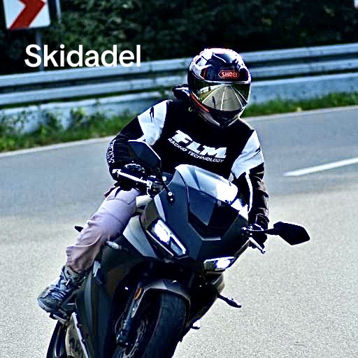 @MotorradMila