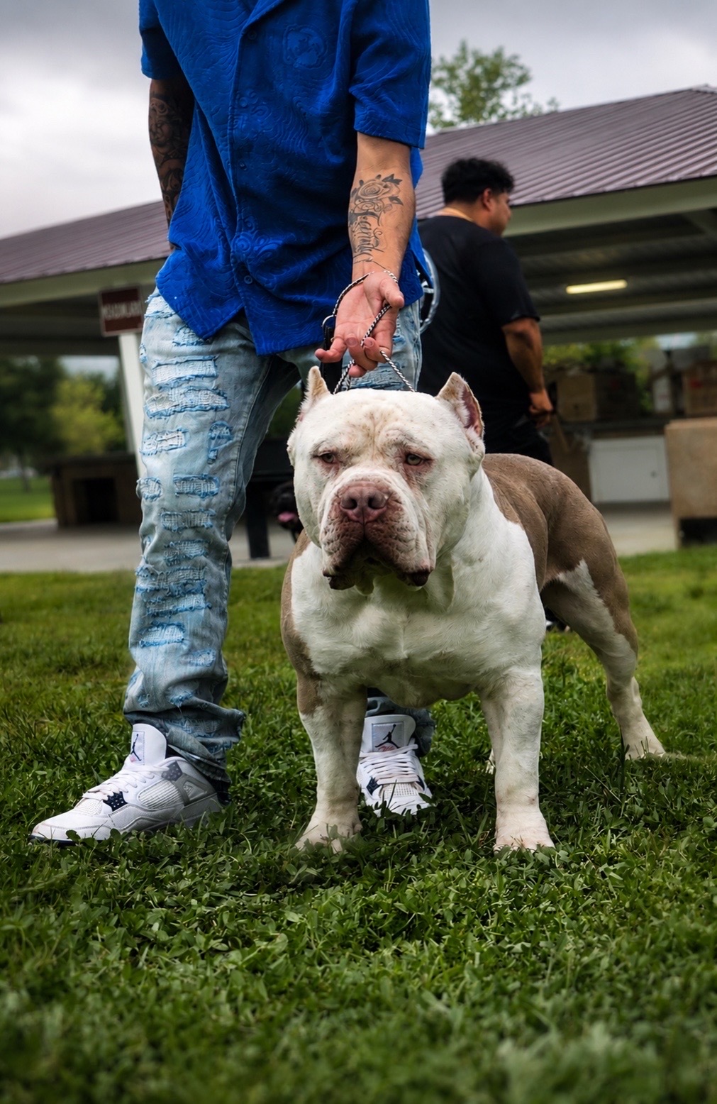@Dtx_dogkennels