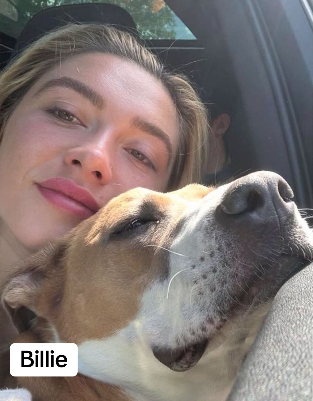 @florencepugh0fficial