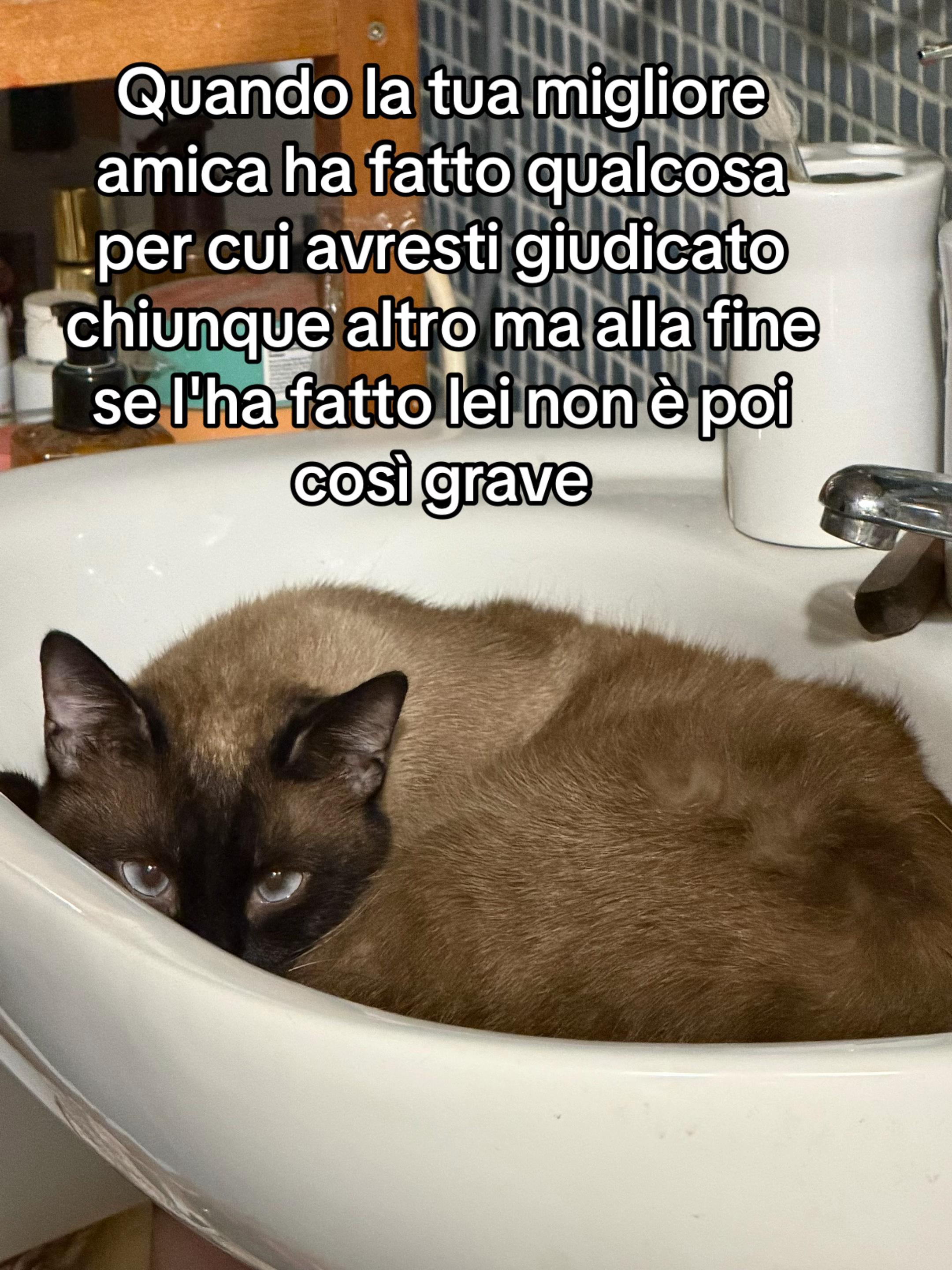 @Esse