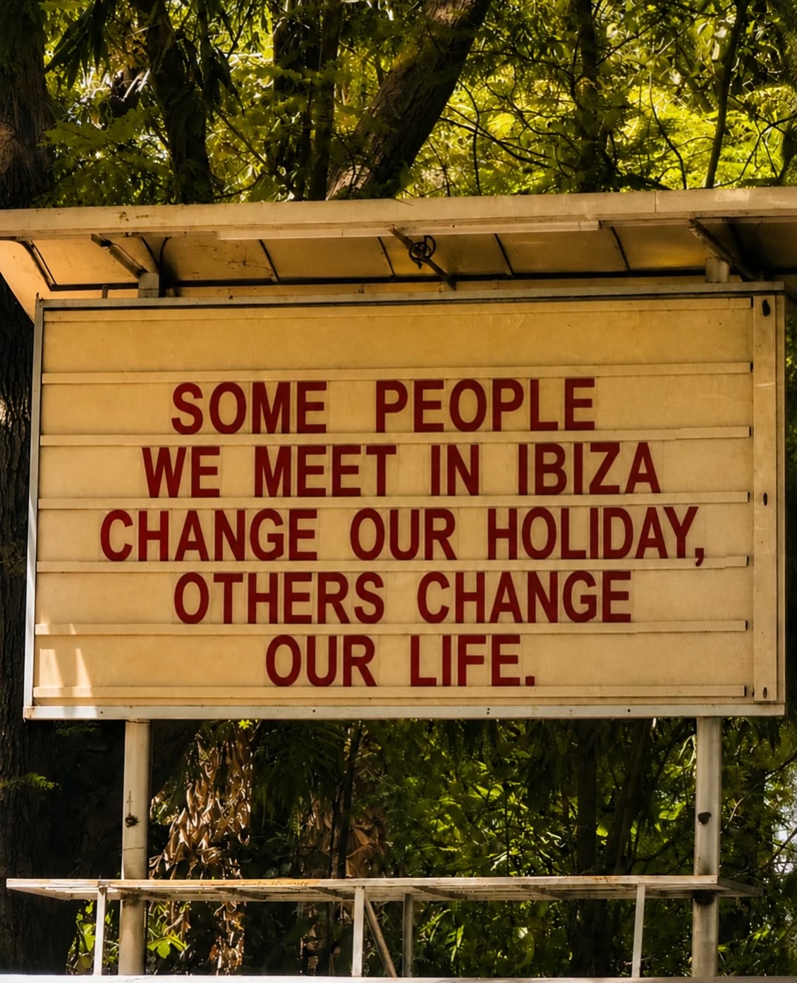 @ibizahq