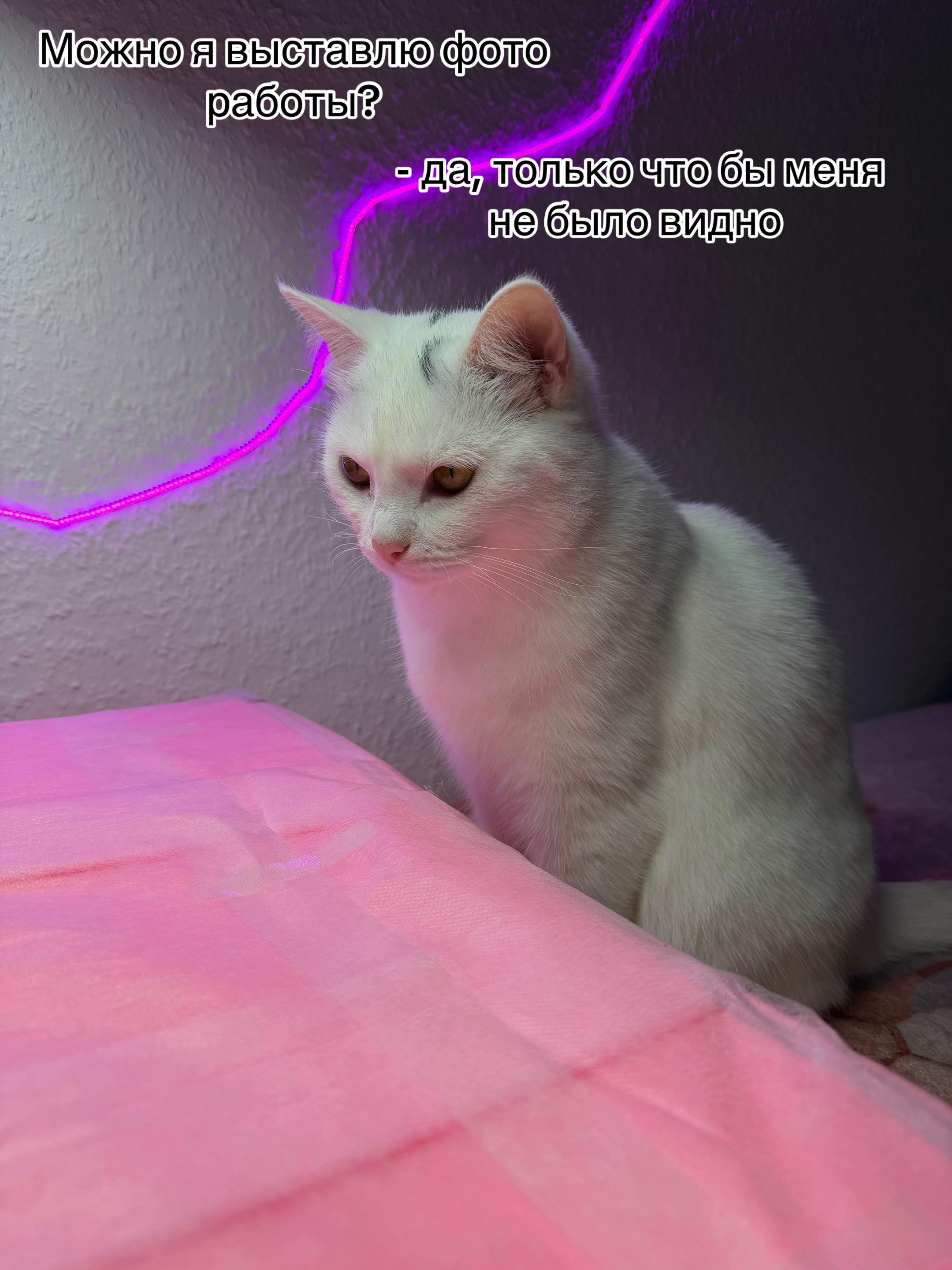 @:)