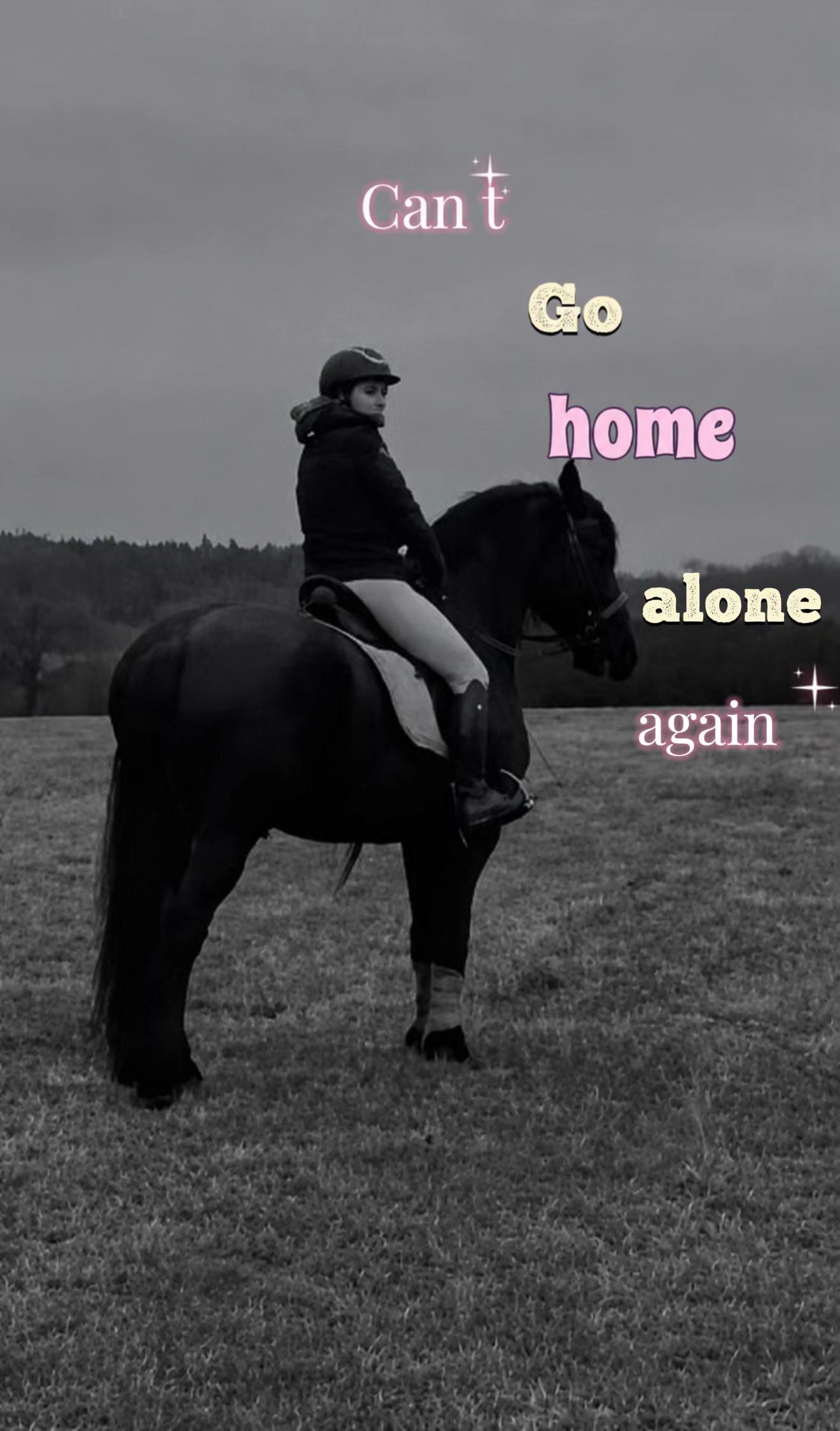 @Horses