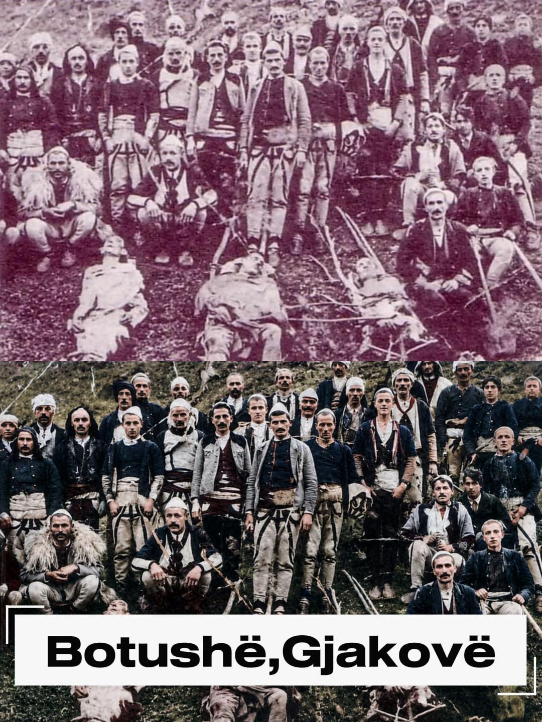 @Albanian Kuçi