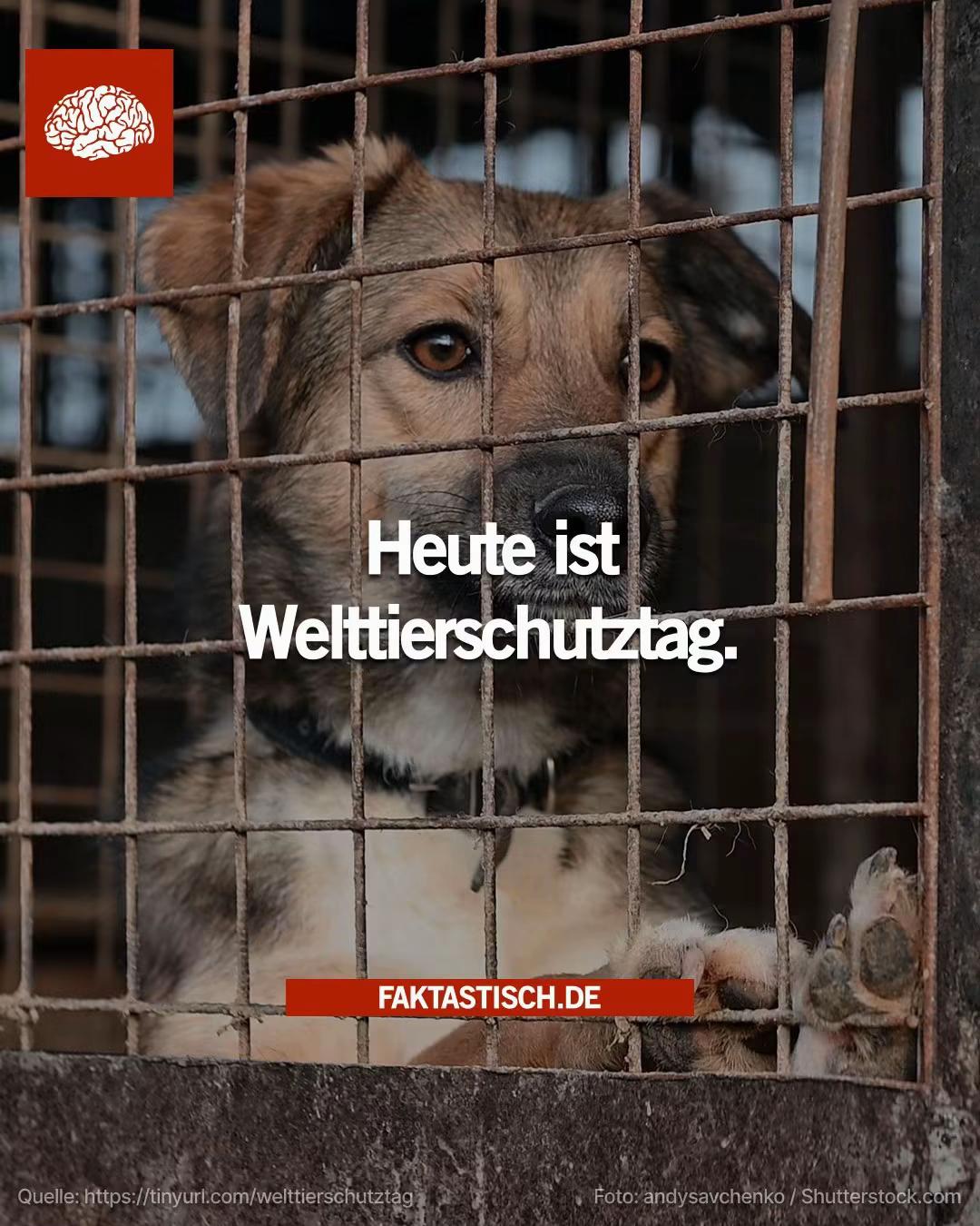 @Faktastisch