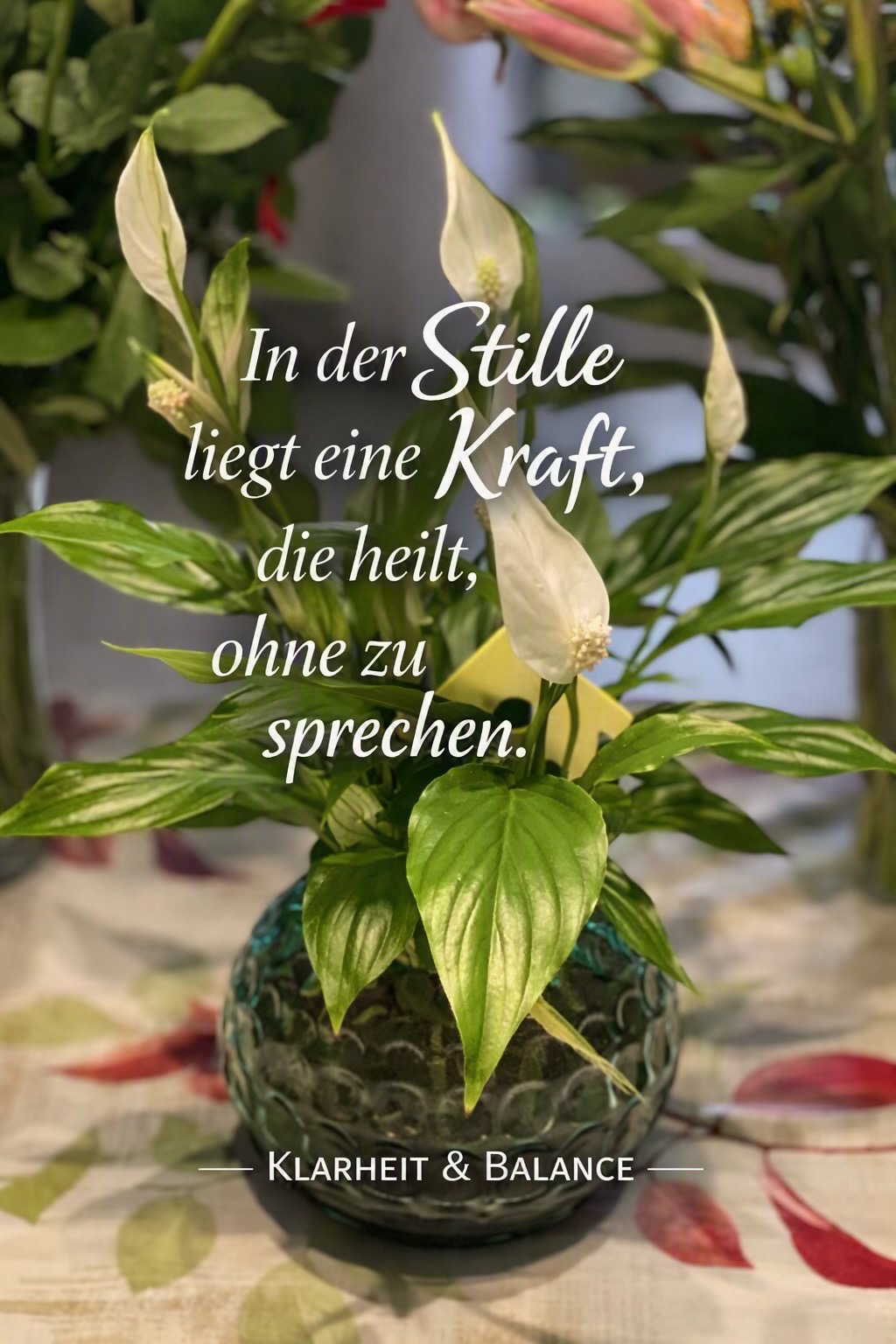 @Lily🇩🇪🇹🇭 ที่นี่มีกำลังใจ💕