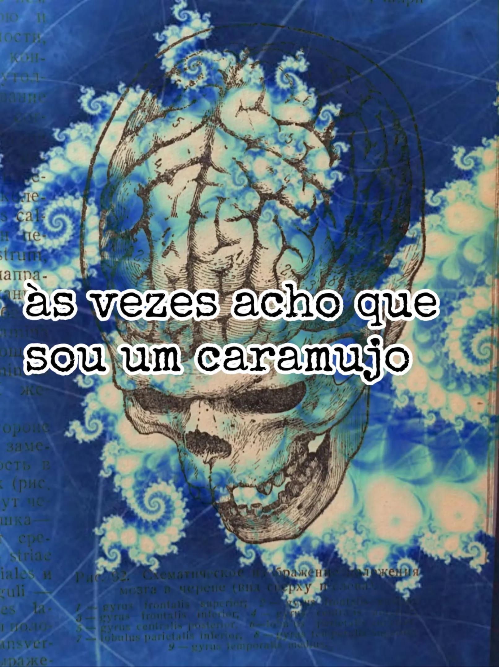 @João Victor Correia