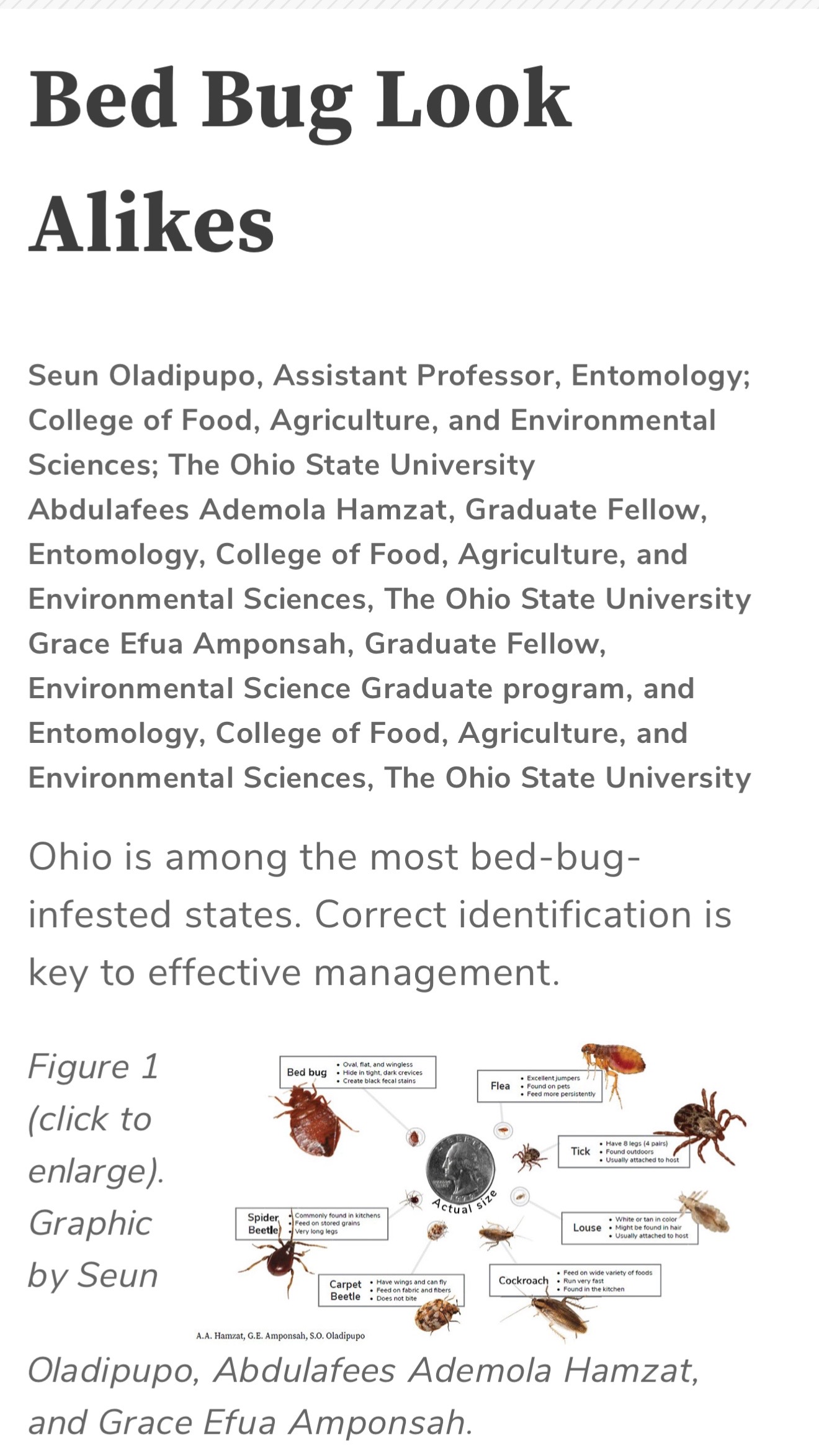 @Gracey&rsquo;s PhD