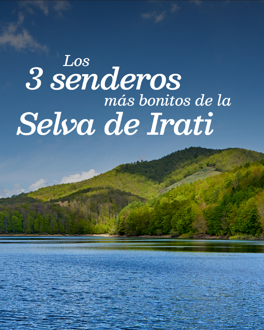 @Visit Navarra