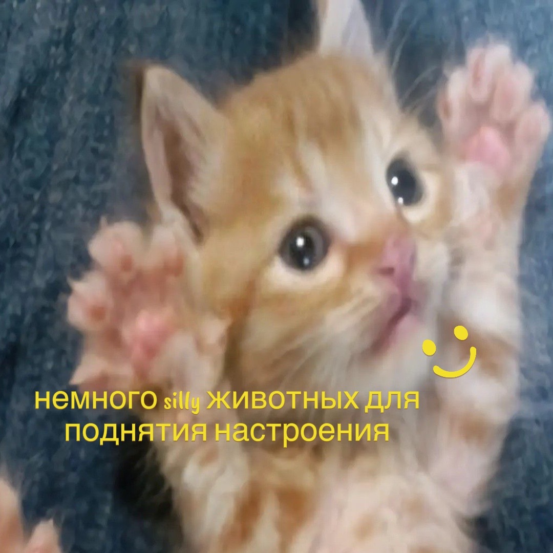 @rrrishkkkaa