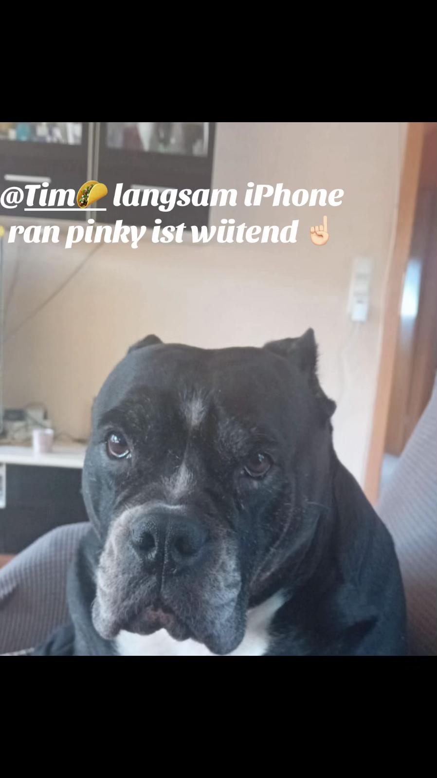 @sekerem3