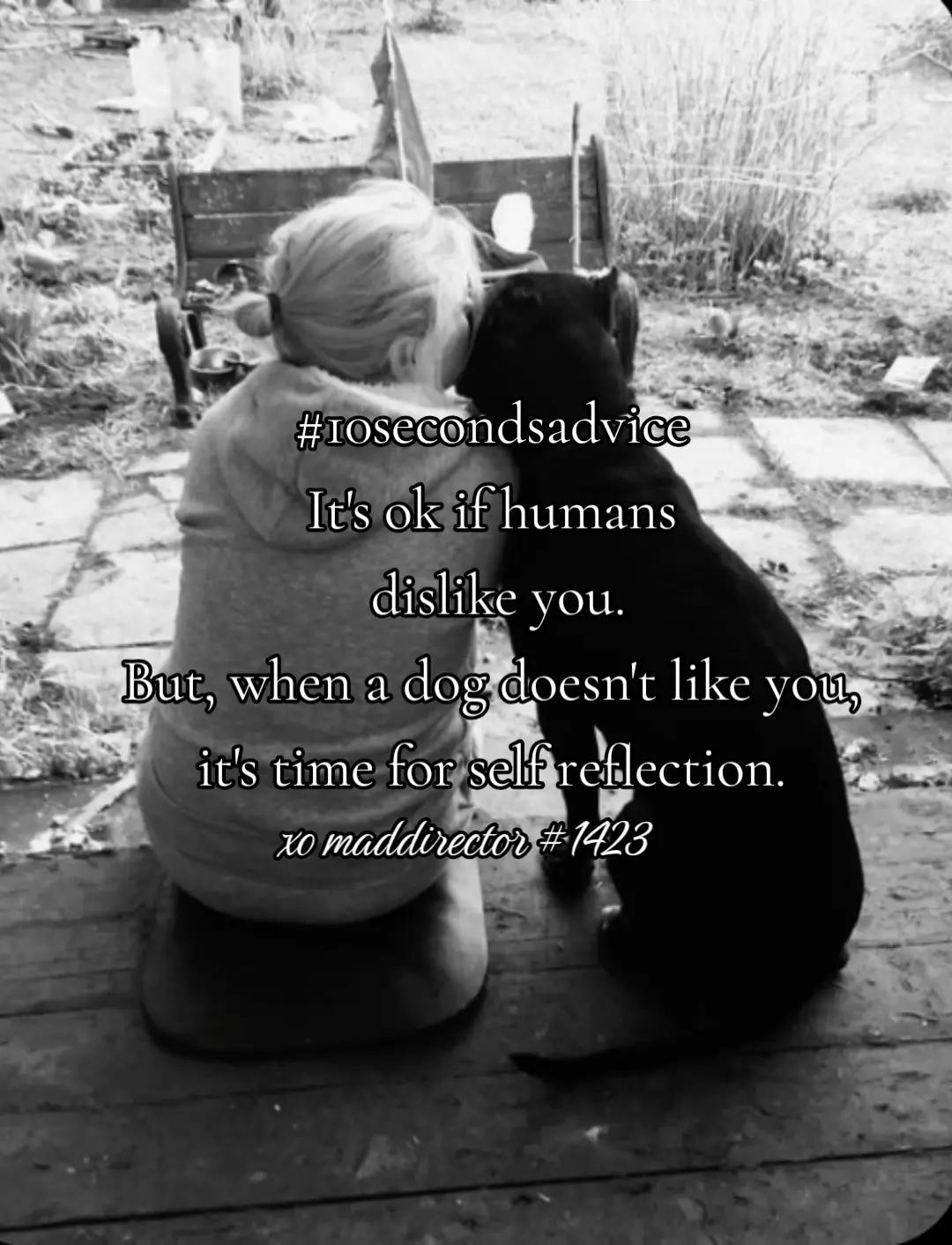 @Maddirector