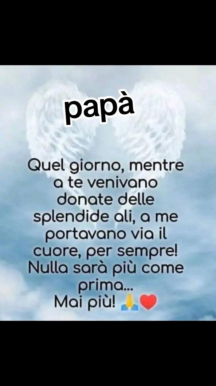 @salvuccia 81