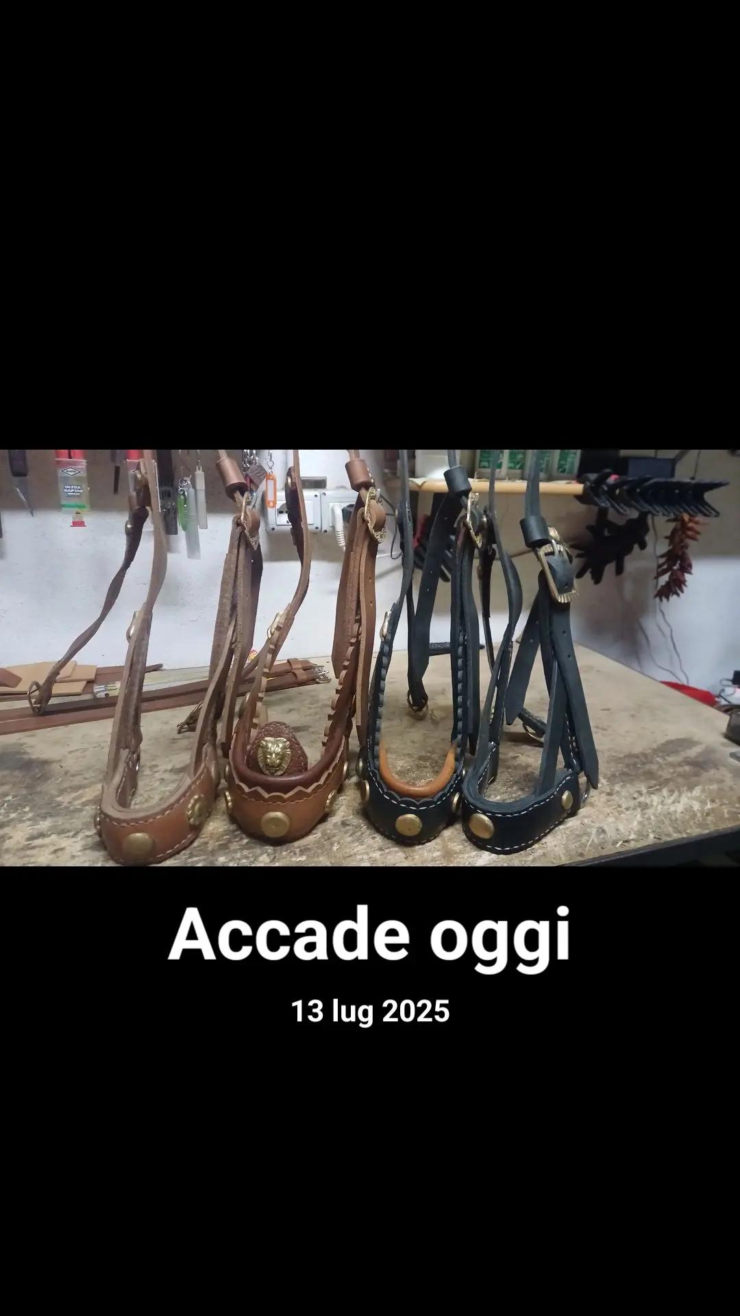 @Gio Mansi