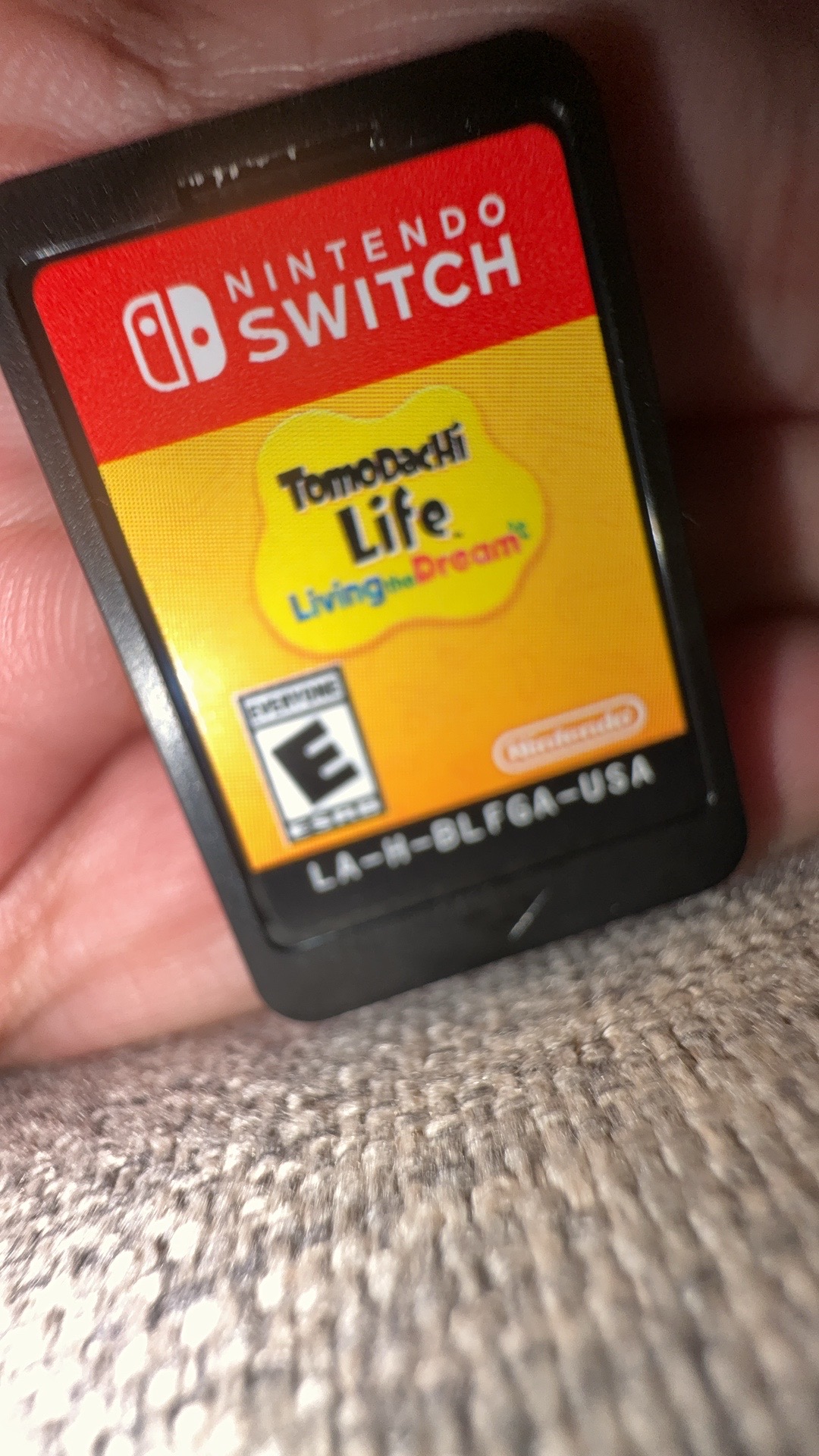 @Nintendo Kid