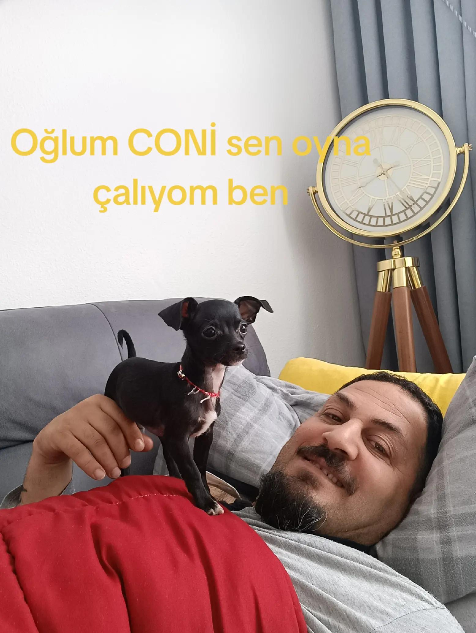 @Polat karadayı