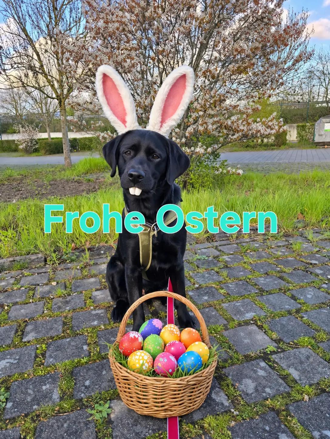 @AntonderBollerkopp