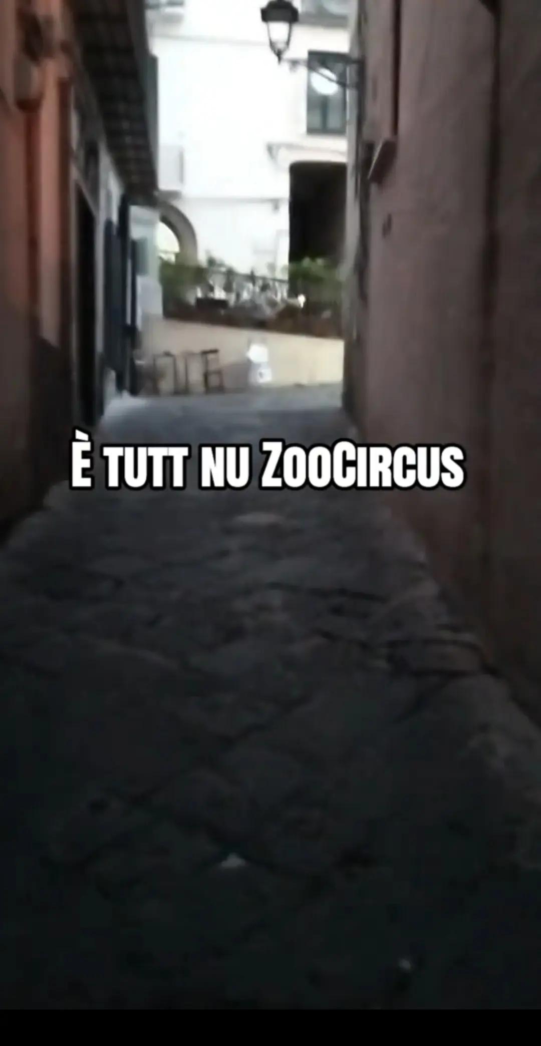 @Albina Landolfi