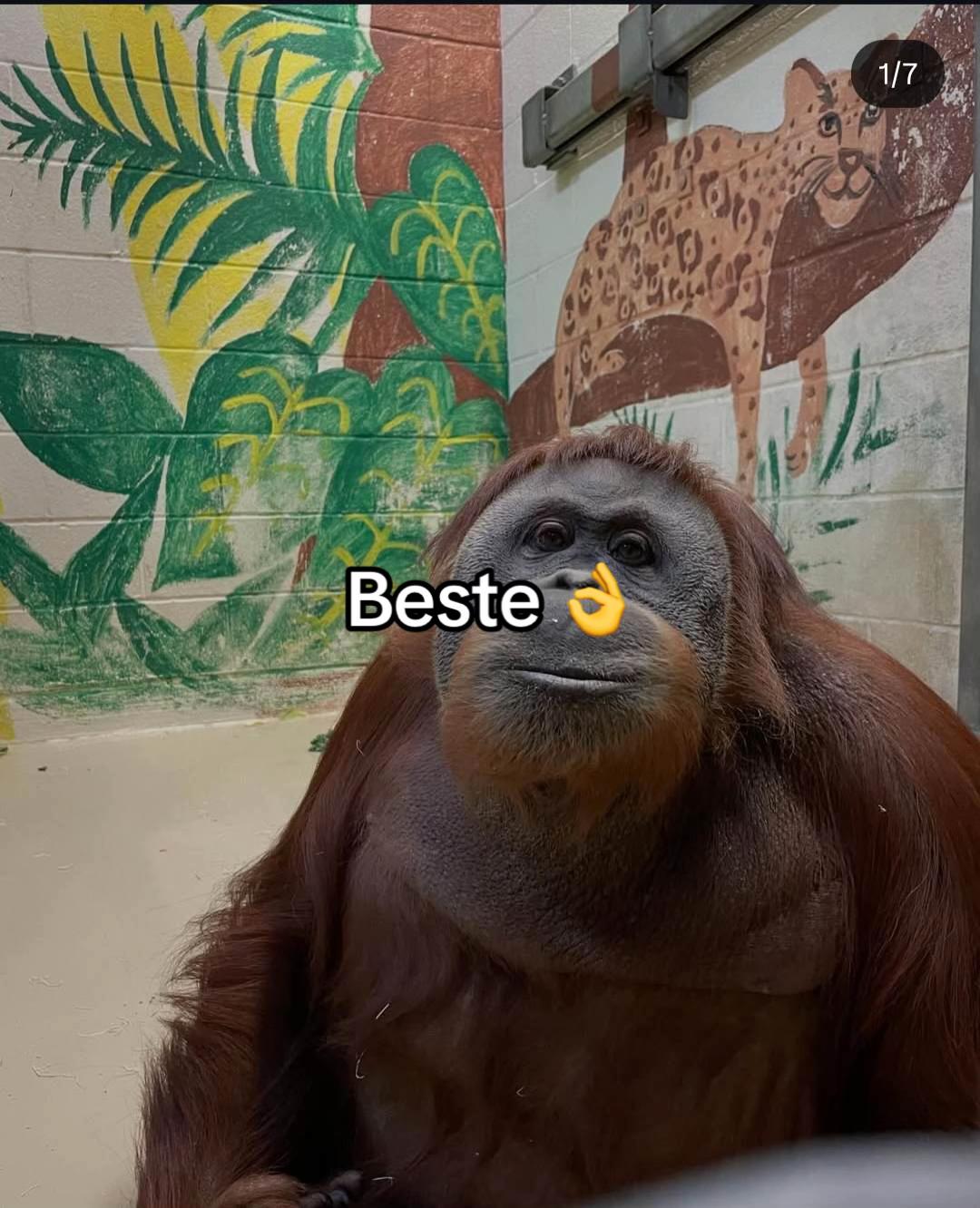 @Aiven.64🪬