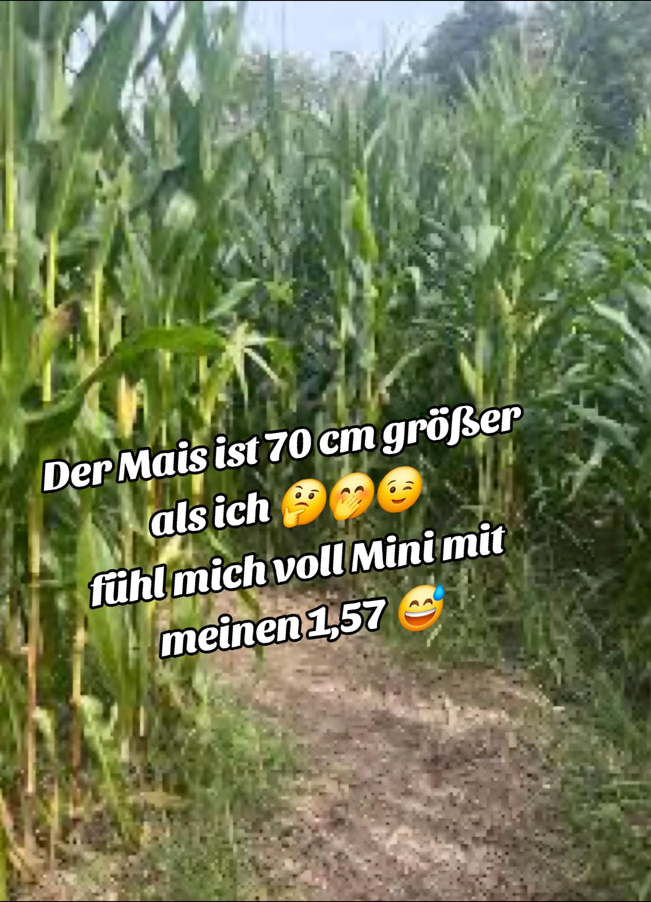 @Ossigirl