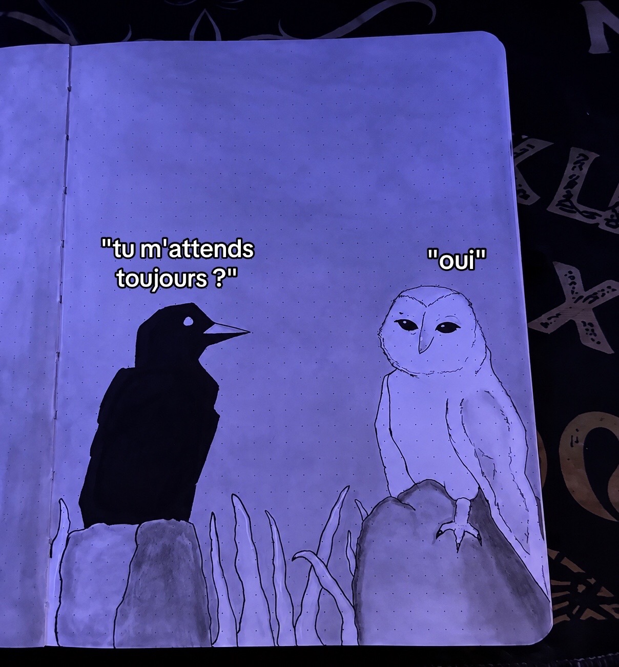 @RuptureGo&ucirc;tFramboise