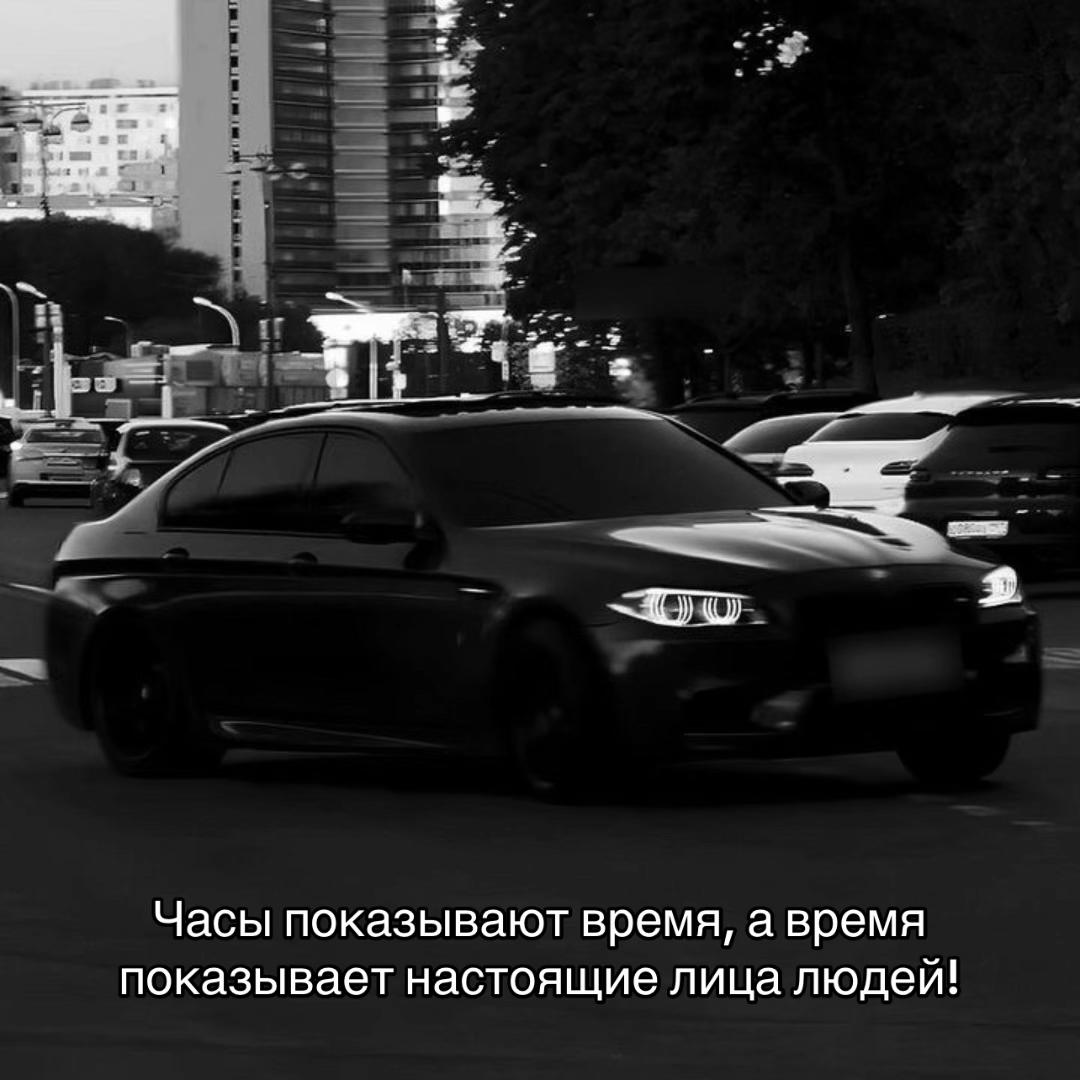 @777_koshka_777_