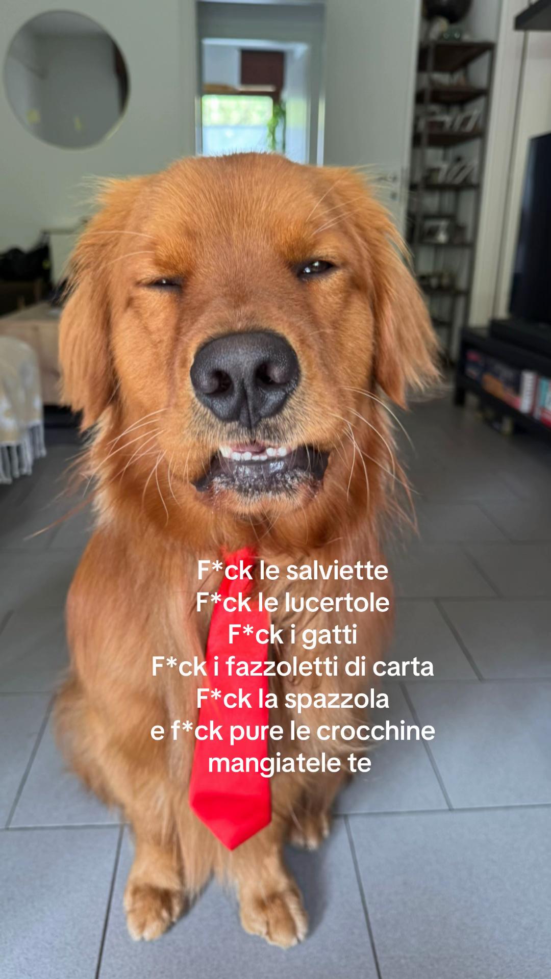 @Chiara Guidetti